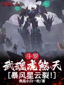 斗罗：武魂虎煞天，暴风星云裂！