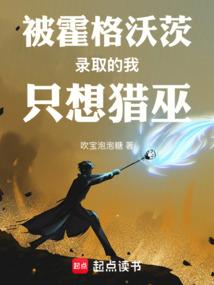 被霍格沃茨录取的我只想猎巫